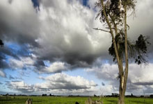 关于风云突变巴黎圣日耳曼加时末段篮板制胜，葡超版图或变，球迷炸锅，资深球员宣示担当的信息-爱游戏app